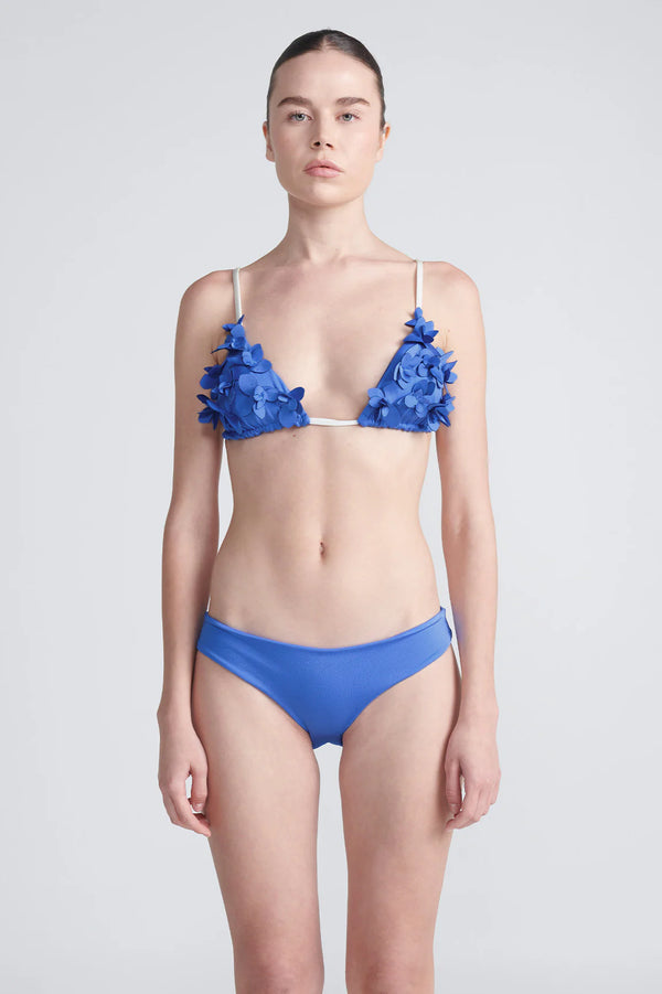 Blue Dichotomy